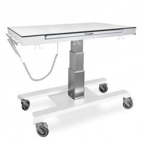 Veterinary X-RAY table URSO /XR/