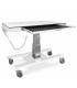 Tavolo radiografico veterinario URSO /XR/