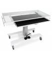 Veterinary X-RAY table URSO /XR/
