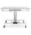 Veterinary X-RAY table URSO XR-SLIDE 135x65 cm