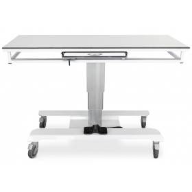 Veterinary X-RAY table URSO XR-SLIDE 160x65 cm
