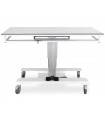 Veterinary X-RAY table URSO XR-SLIDE 160x65 cm