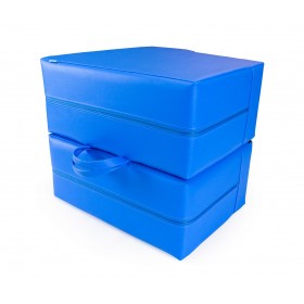 Veterinary mattress for echo/cardio examination