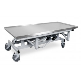 Veterinary table GOLIAT 2 CRM