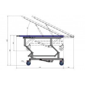 Veterinary table GOLIAT 2 CRM