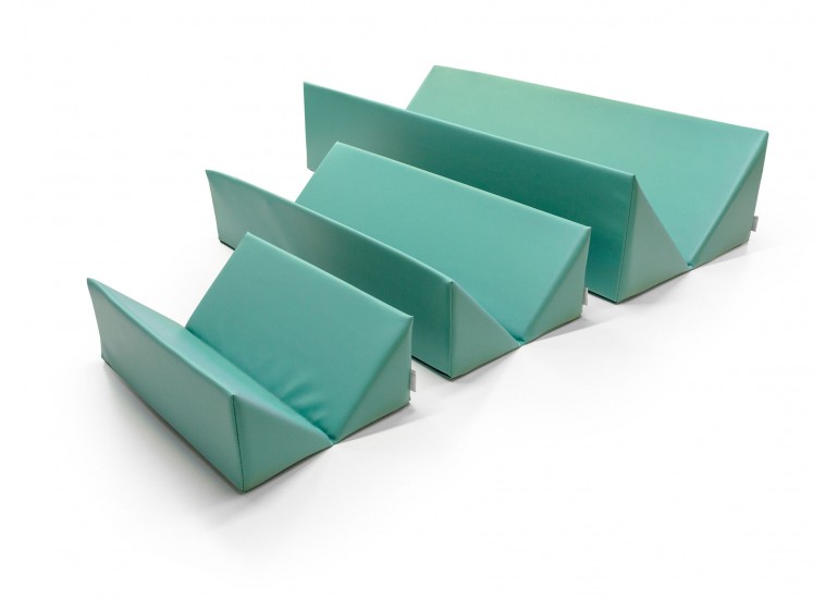 Veterinary immobilizers/positioners set