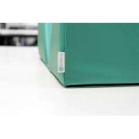 Veterinary immobilizers/positioners set