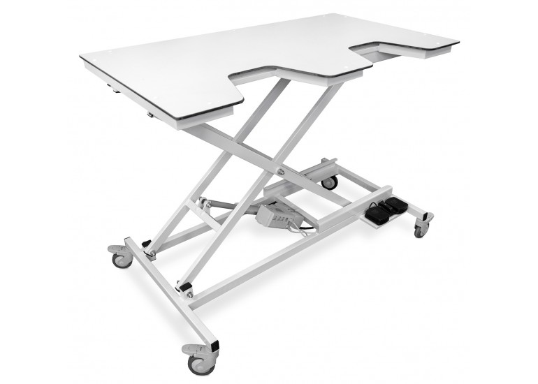 Tavolo per ecografia veterinaria ECHO PRO 1