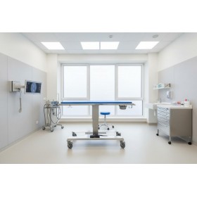 Veterinary table URSO MAX